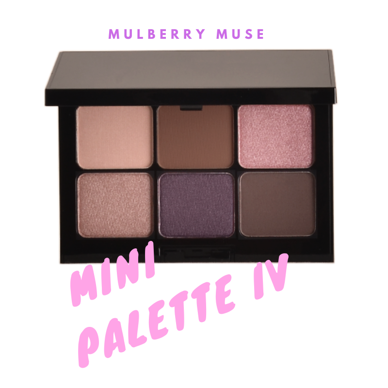 MINI MAKEUP PALETTE IV-MULBERRY MUSE – Fixate Cosmetics